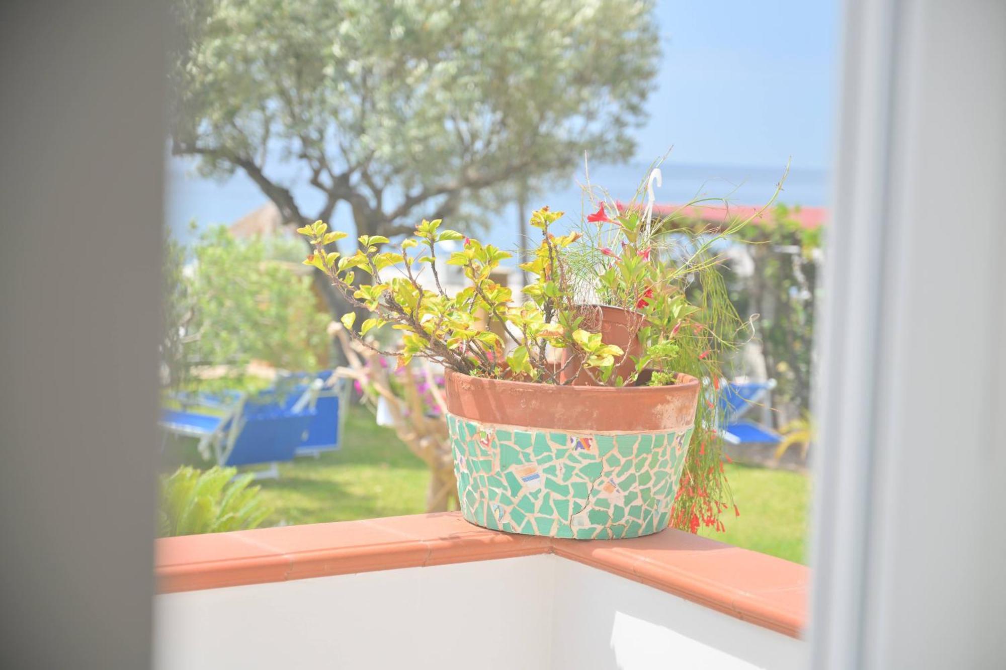Blu Maronti Apartment Barano d'Ischia ภายนอก รูปภาพ
