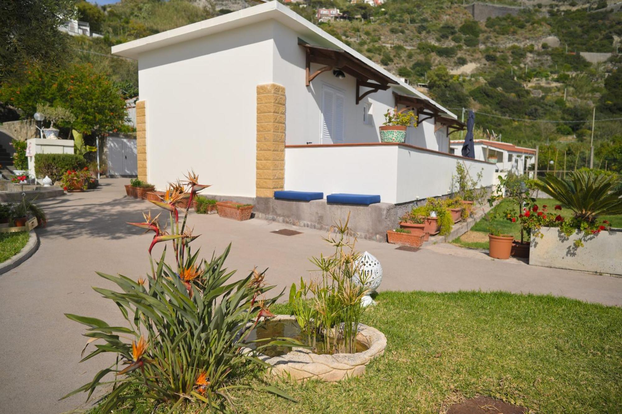 Blu Maronti Apartment Barano d'Ischia ภายนอก รูปภาพ